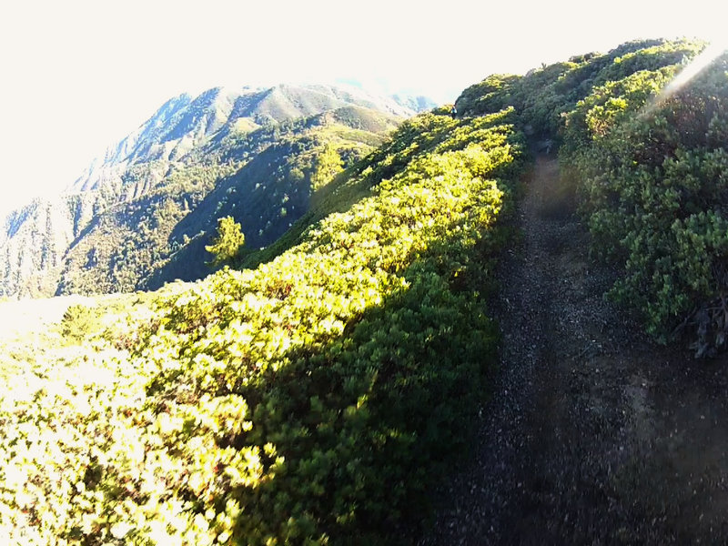 Unbelievable view after coming out of a tree tunnel.