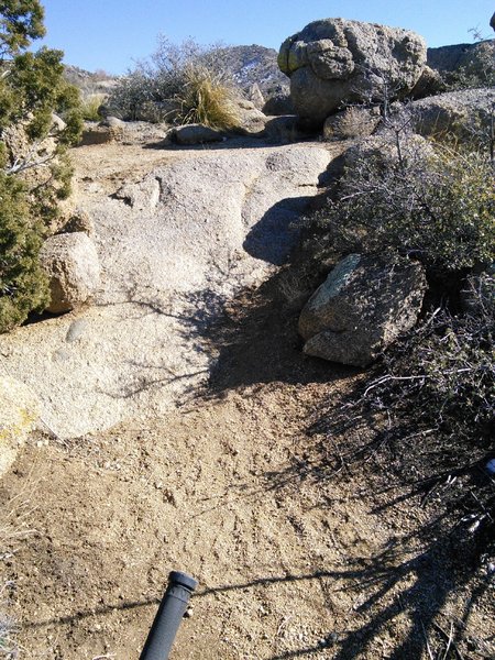 Nice singletrack has a few short sections of embedded boulders and bedrock