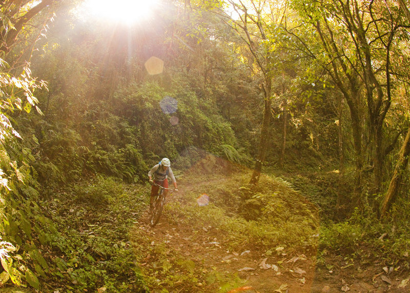 Climbing into lush forest after entering Shivapuri National Park