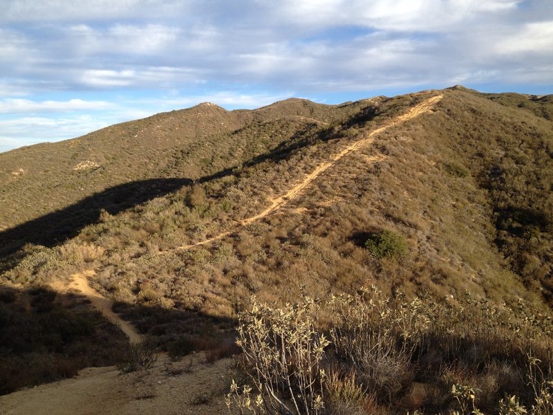 One of the steeper sections of the trail