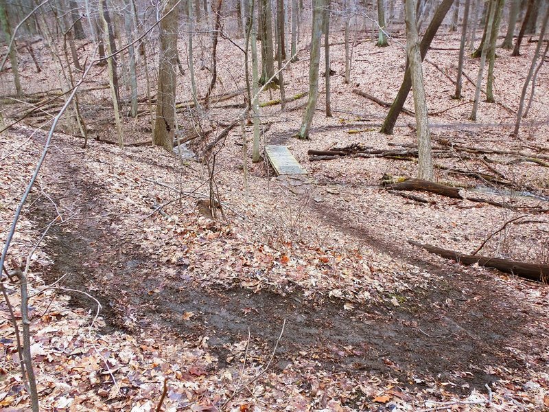 One of the many bridges that cross the numerous streams at Boyce Park.