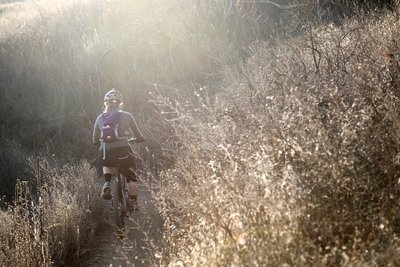 Climbing through the sun drenched vegetation on Thanksgiving Day.
