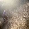 Climbing through the sun drenched vegetation on Thanksgiving Day.