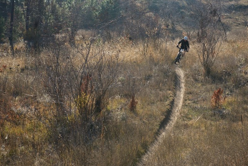 Exiting the bottom of Vince's Tire Trail.