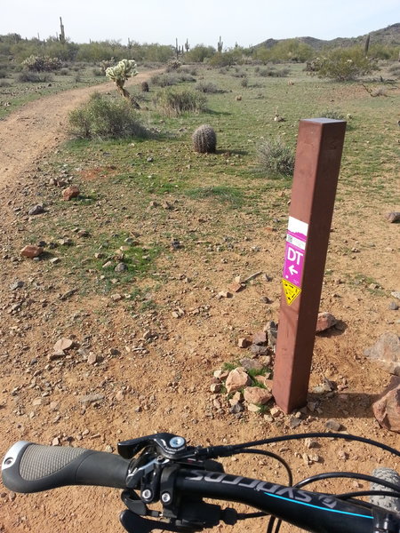 Handy color-coded trail markers with QR scans and elevation profiles!