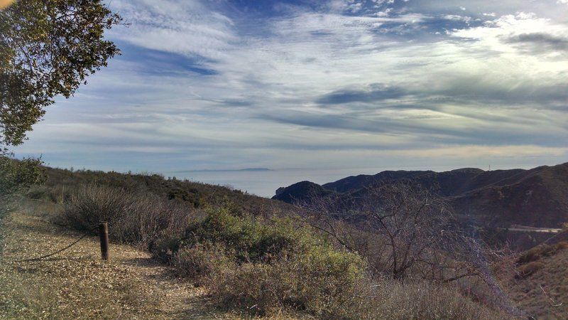 View from the clearing after the tunnel climb.