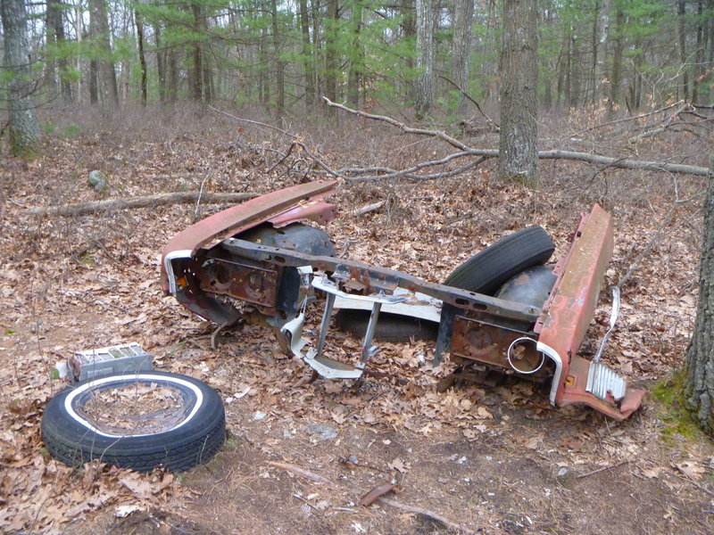 One of many junked cars littering the Land Locked Forest