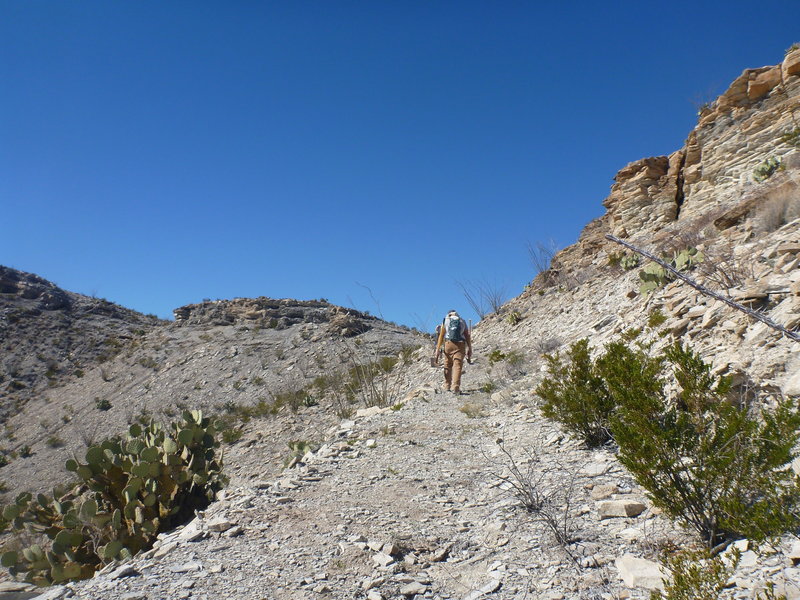 The climb up from the Dome Loop to the Fresno Divide