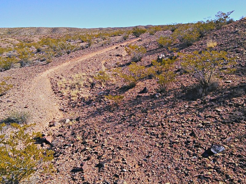 Trail through creosote bush and typical gravel tread