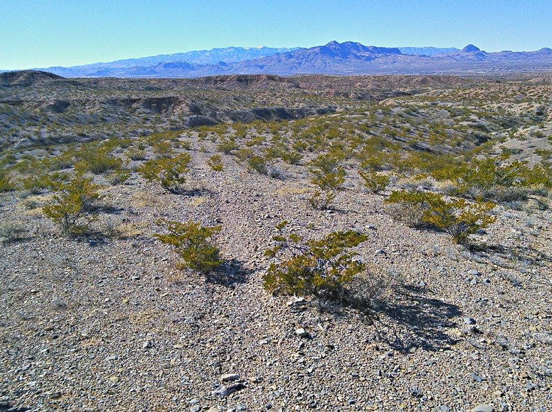 View west towards the Rio Grande