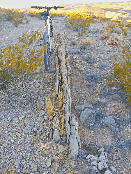 A namesake "hogback" where rock layers have been tilted to near-vertical orientation.