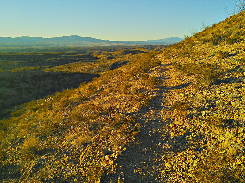 Trail runs along western ridge with expansive views of the Rio Grande valley