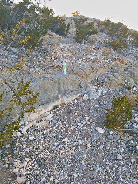 Off-camber step between switchbacks on the east side. Water bottle for scale.