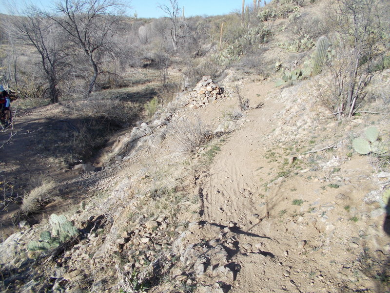 The rough switchback