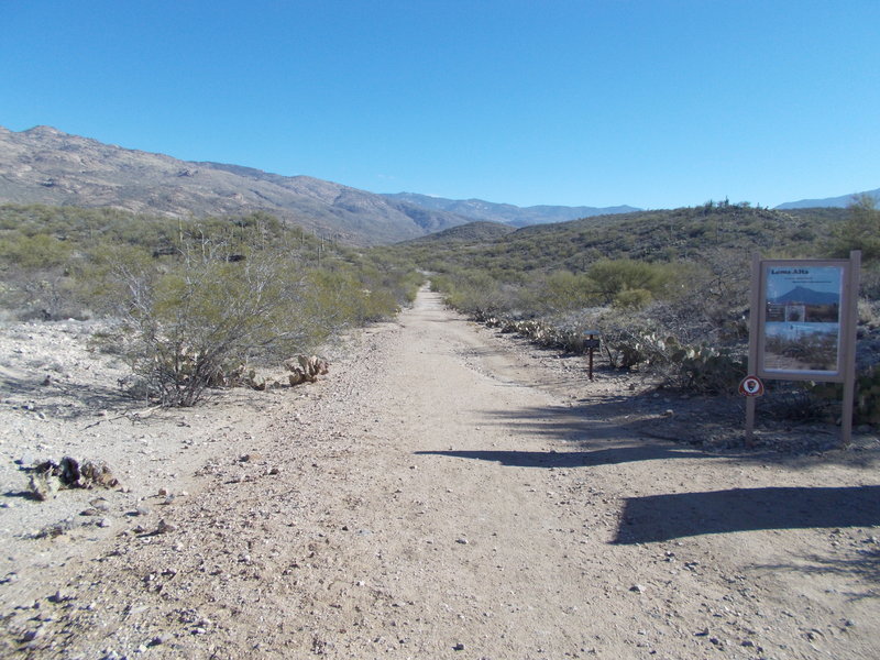 Cmo. Loma Alta trailhead