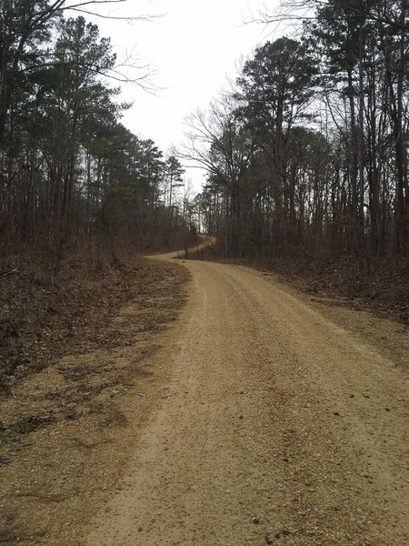 For the Gravel Rd Racer! The climb on Pigeon Roost Rd. 
<br>
From the South Trailhead, there is a 7 mile gravel road loop.
<br>
Consisting of the Noxubee Hill Rd, Pigeon Roost Rd and Sheep Ranch Rd.
<br>
CCW 
<br>
Max elevation: 682 ft
<br>
Min elevation: 383 ft
<br>
Elevation gain: 407 ft
<br>
Descent -405 ft