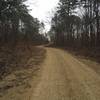 For the Gravel Rd Racer! The climb on Pigeon Roost Rd. 
<br>
From the South Trailhead, there is a 7 mile gravel road loop.
<br>
Consisting of the Noxubee Hill Rd, Pigeon Roost Rd and Sheep Ranch Rd.
<br>
CCW 
<br>
Max elevation: 682 ft
<br>
Min elevation: 383 ft
<br>
Elevation gain: 407 ft
<br>
Descent -405 ft