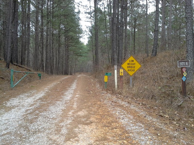 Looking towards the CW/Log Jump/Long Bridge Trailhead, from the Noxubee Hill Road and Pigeon Roost Road intersection/parking area.