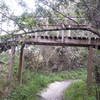 Warm Up Loop Expert trail bridge crossing Intermediate trail.