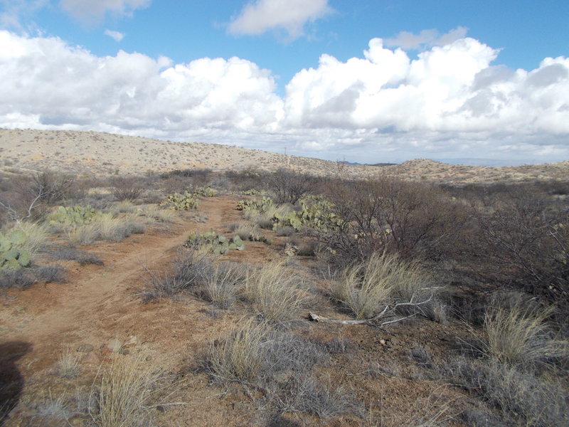 AZ Trail and Wildlife Corridor intersection