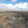 AZ Trail and Wildlife Corridor intersection