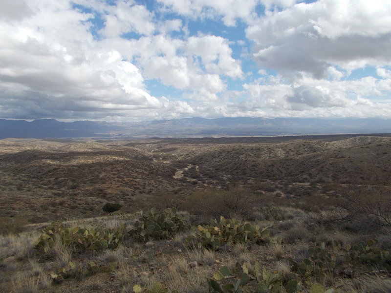 View north from the Windmill Loop