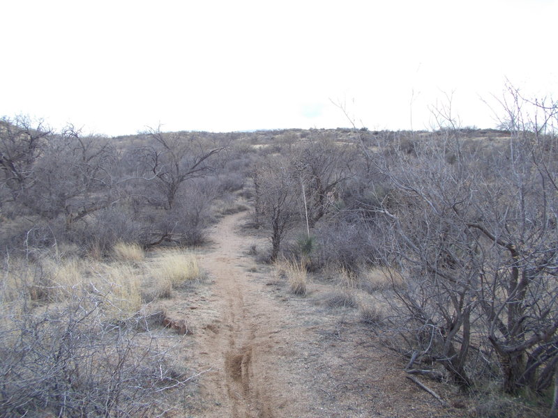 Wildlife Corridor Trail