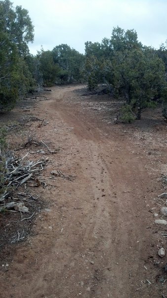 climbing up trail 34.