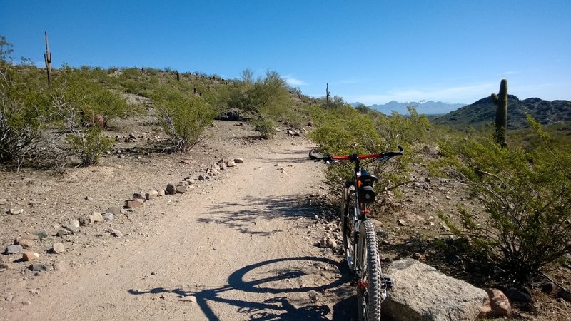 Heading east on Trail 100. All downhill from here until you reach Cave Creek Road.