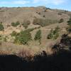 Looking back down over the starting point at Green Gulch Zen Center after a steady climb.