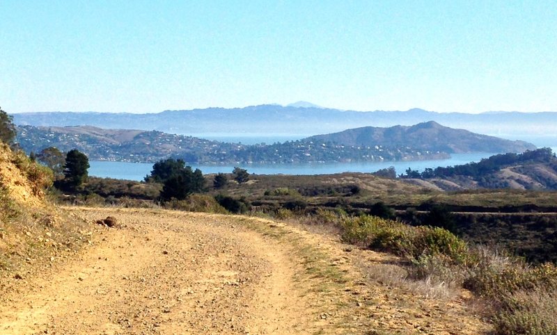 Miwok trail cruises gently down a dirt road with plenty of scenery to stare at.