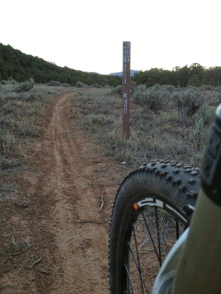 Beautiful tread in one of the many sage sections.