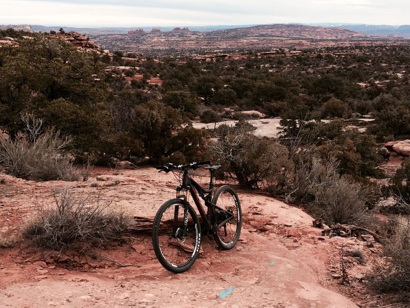 Scenery along the 7-Up trail.