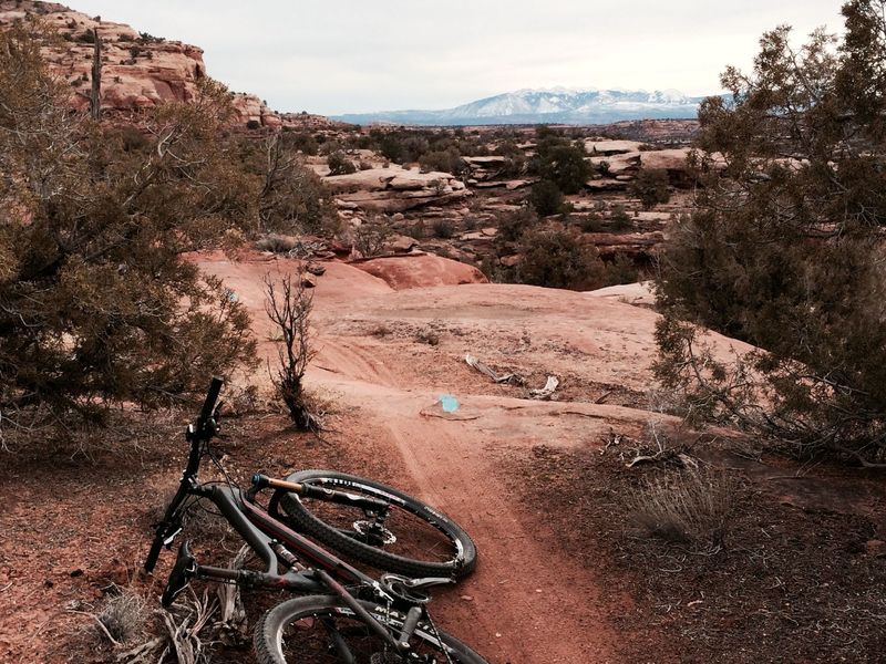 Singletrack section of 7-Up with the La Salle mountains in the background.