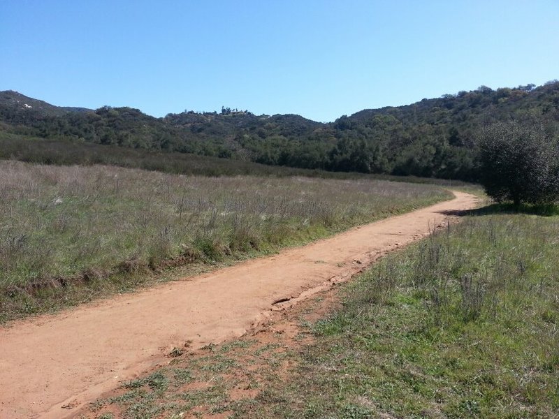 Entrance to Daley Ranch Trail from Cougar Pass Rd