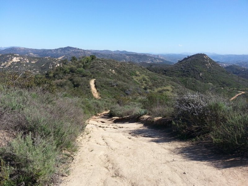 Cougar Ridge Trail view