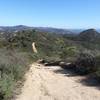 Cougar Ridge Trail view