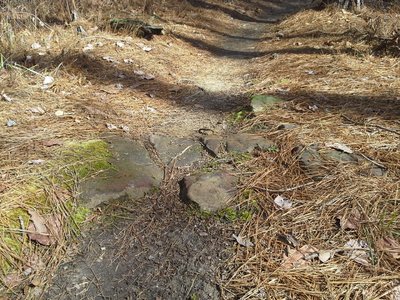 The CW Trail crossing a rock pathway that once lead to an old homestead