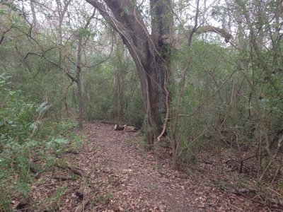 Acadiana park best sale mountain bike trails