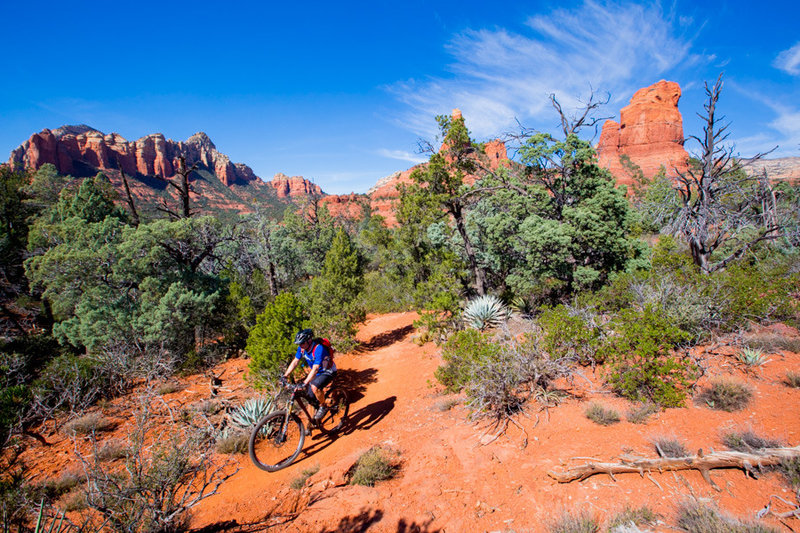 Jordan trail has plenty of red rocks and blue skies.