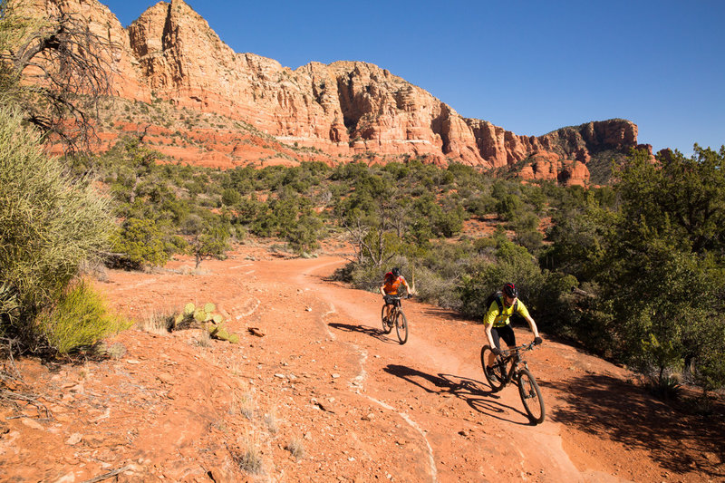 Llama trail alternates between singletrack in the pinons and open runs of slickrock.