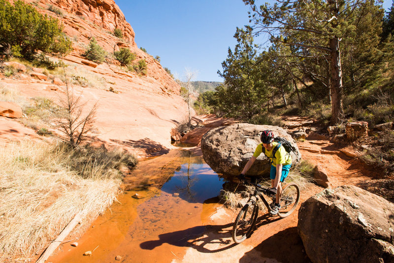 Munds Wagon Trail follows the intermittent creek in Bear Wallow Canyon.  The trail ducks in and out of trees and slickrock washes,