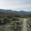 Looking South at the Catalina Mtns