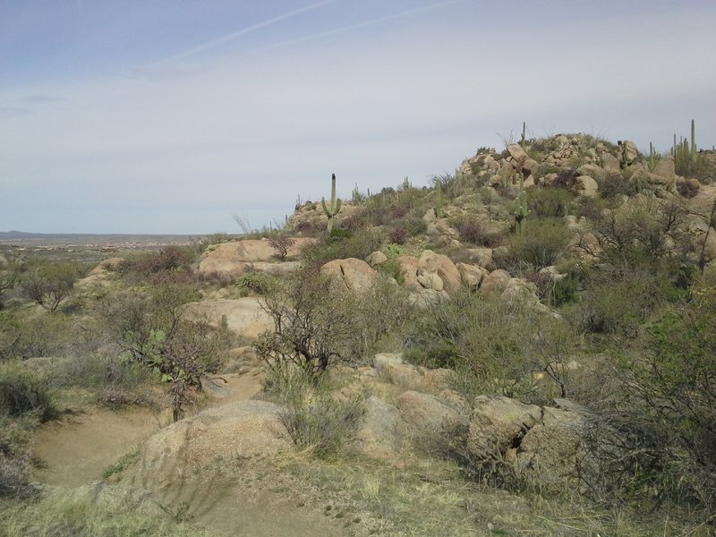 Winding through the Boulders