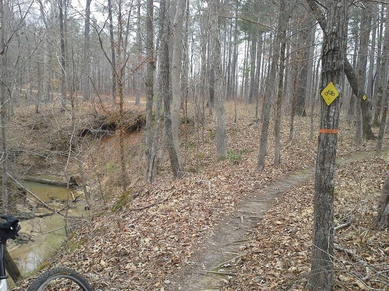 A section of the CW Trail running between the creek and Noxubee Hill Rd