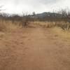 Garden Canyon Linear Park trail, looking west