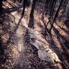 One of several rock gardens to ride across with a visible alternate line beside it.