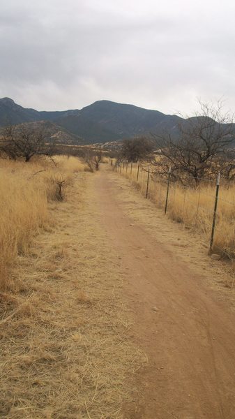 The Fort Huachuca Access corridor, looking towards Brown Canyon Ranch.