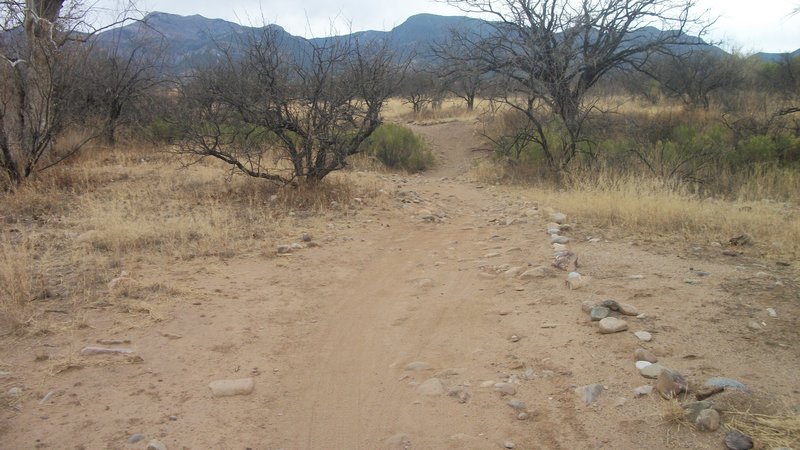 This is typical for Garden Canyon, a small rise, with some rocks in it, facing south-west.