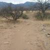 This is typical for Garden Canyon, a small rise, with some rocks in it, facing south-west.